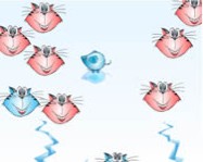 Cat and rat online