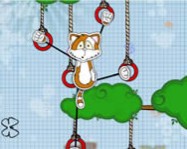 Cat climbing online
