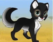 Kitten maker online macskás játék