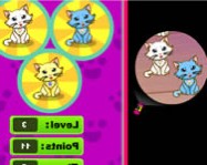 Kitten spot online